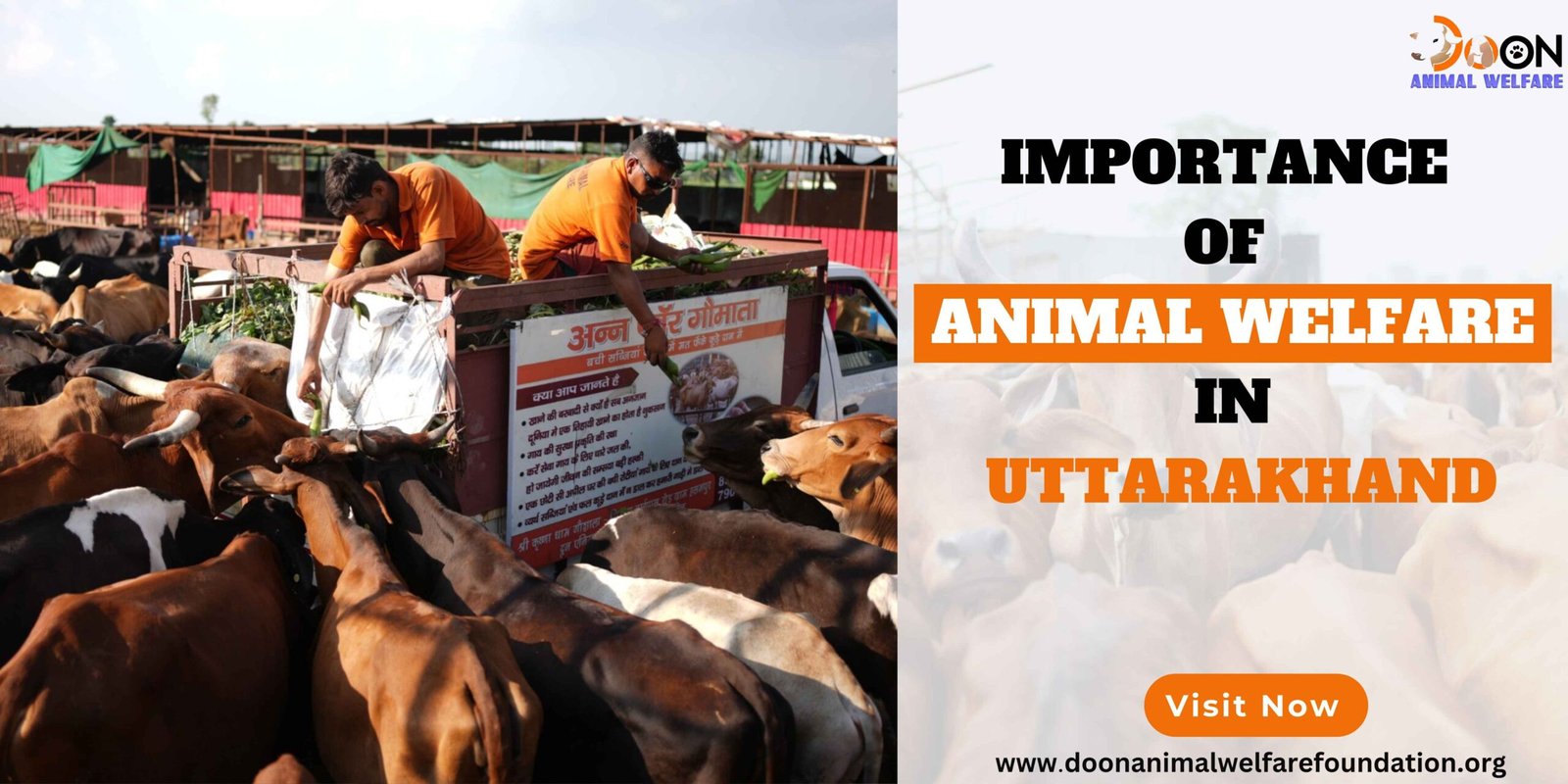 importance of animal welfare