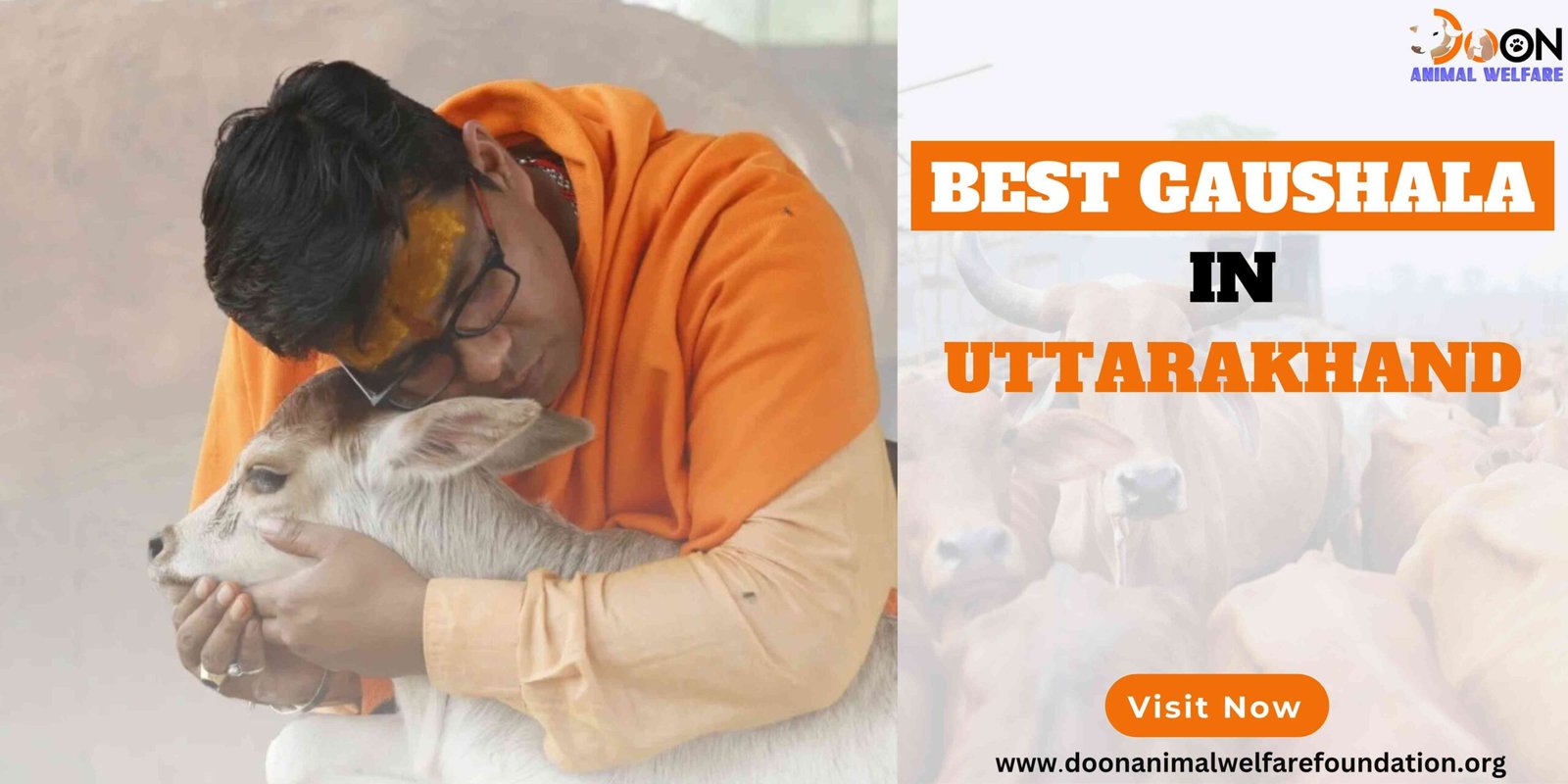 best Gaushala in Uttarakhand-Doon Animal Welfare