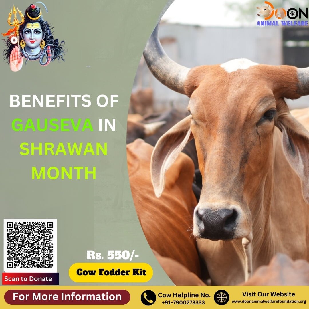 Benefits of Gauseva in Shrawan Month