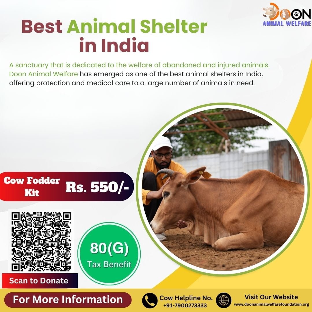 Best Animal Shelter in India