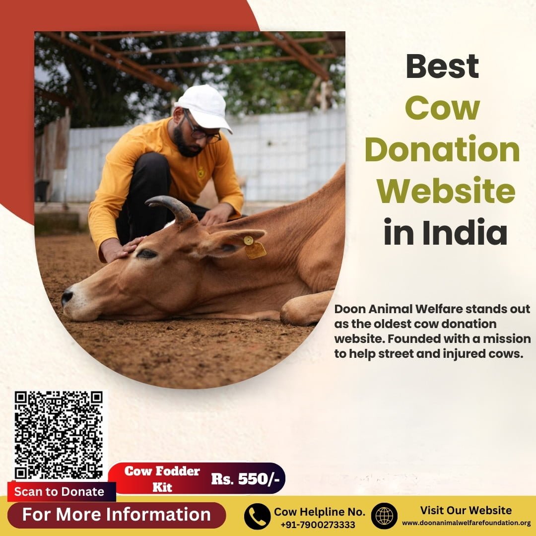 Best Cow Donation Website