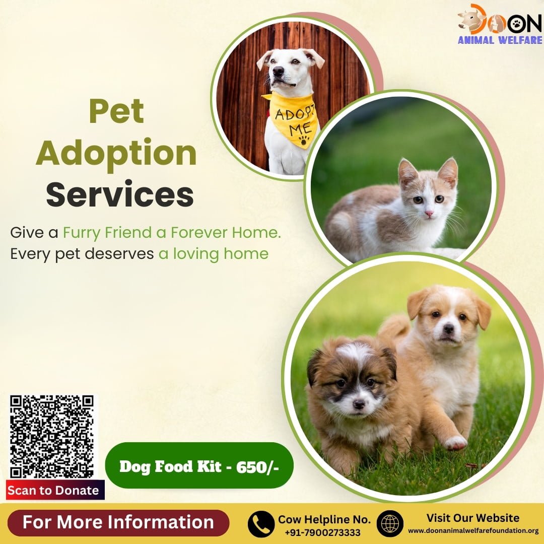 Pet Adoption Services