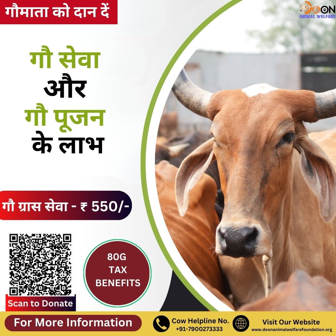 गौ पूजन के लाभ