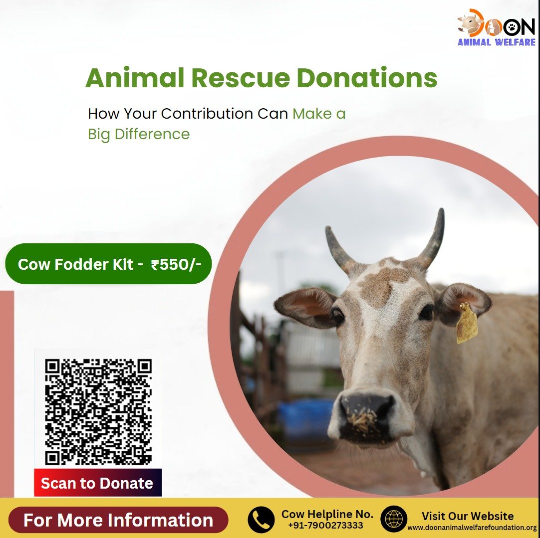 Animal Rescue Donations