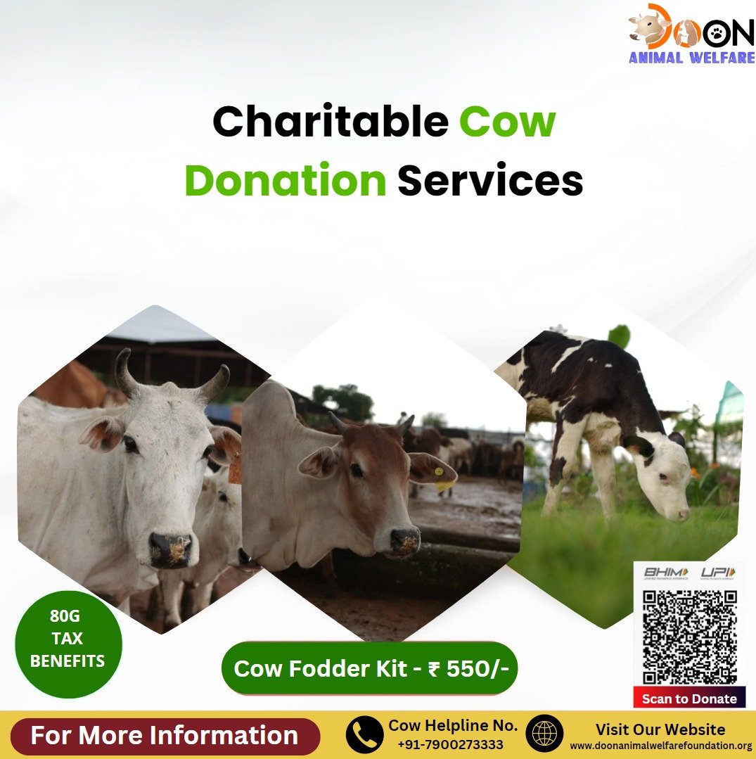 Charitable Cow Donation