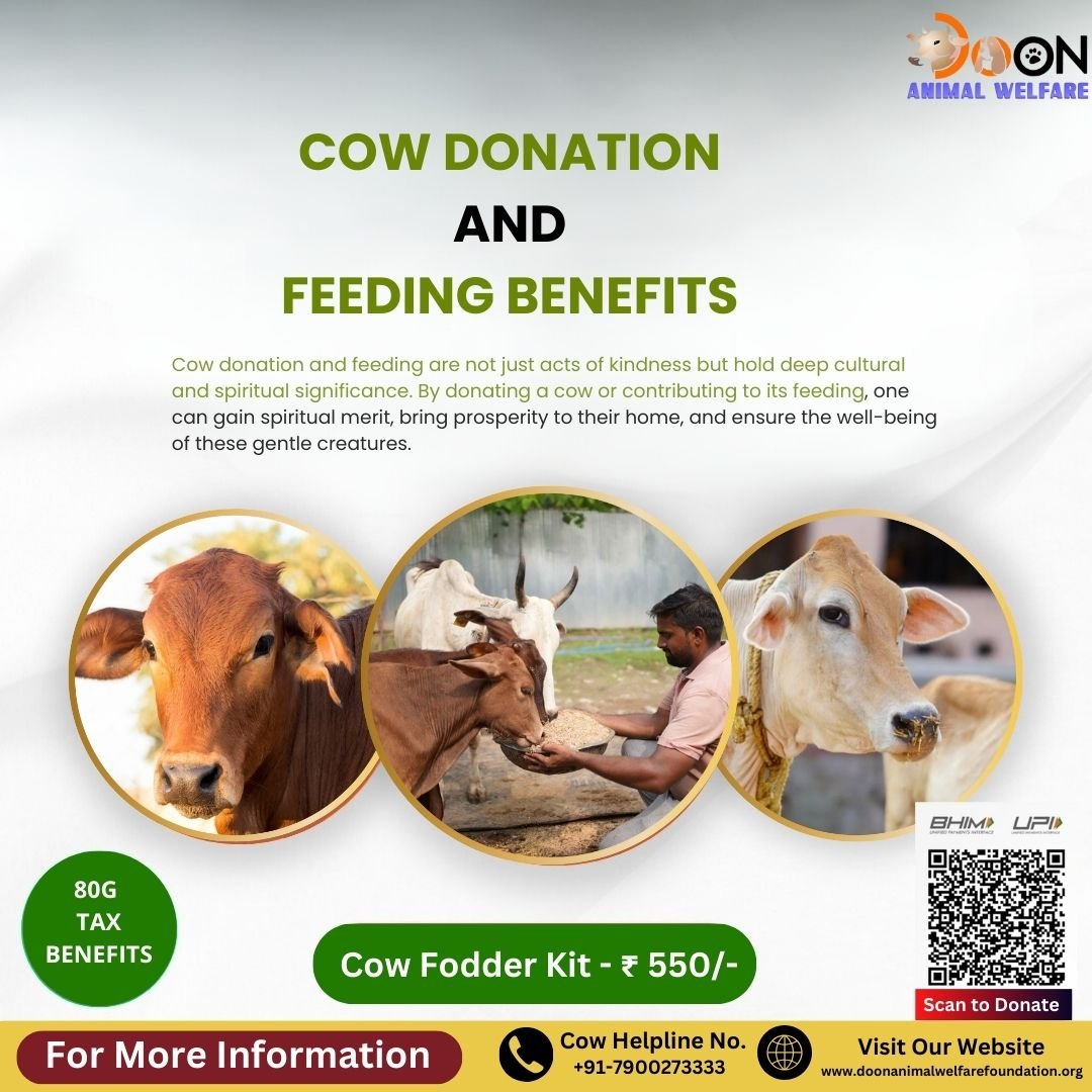 Cow Donation and Feeding Benefits