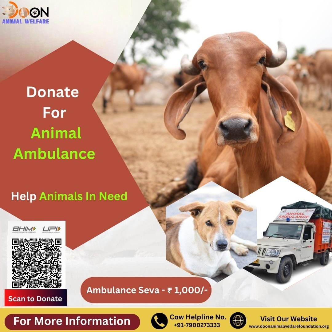 Donate For Animal Ambulance