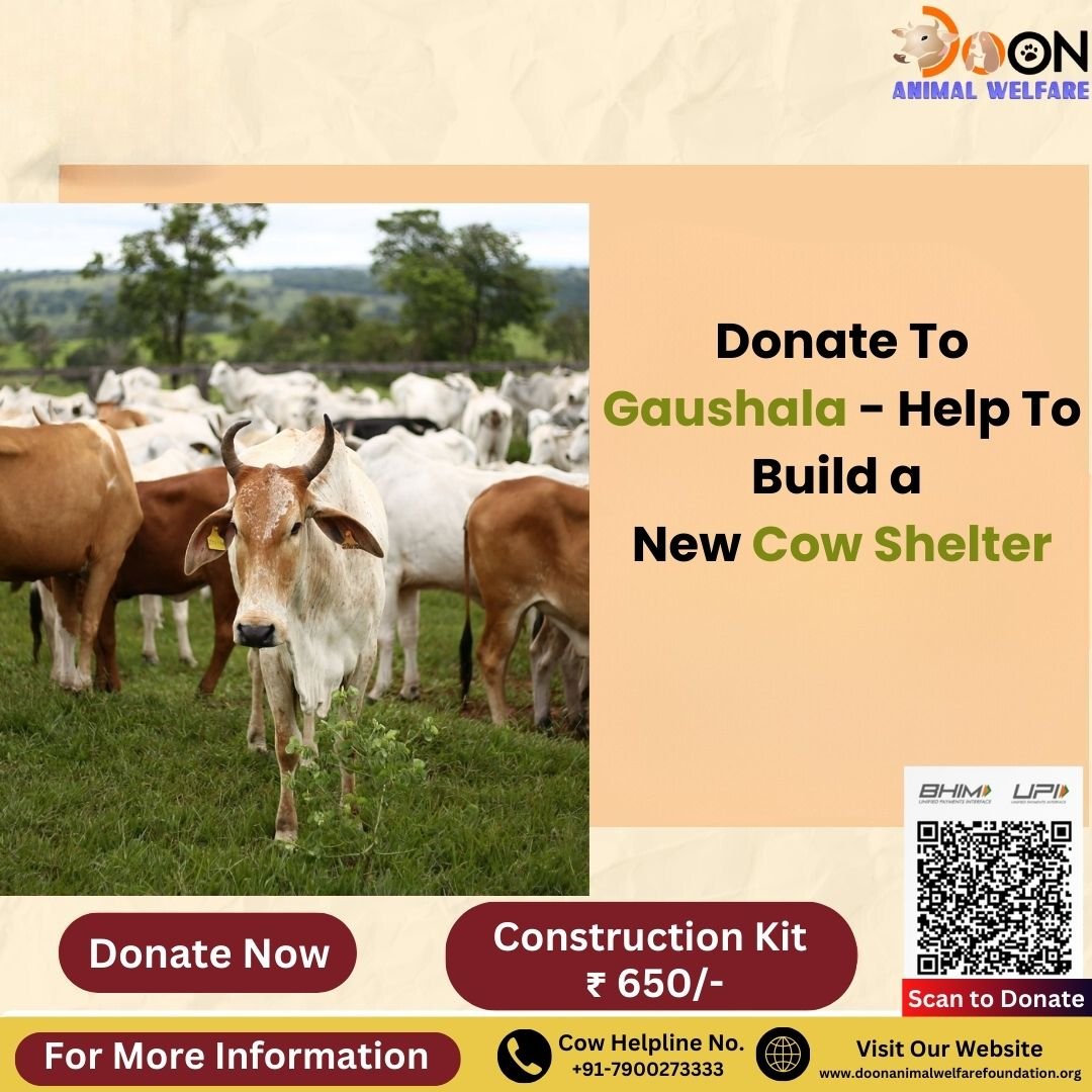 Donate To Gaushala