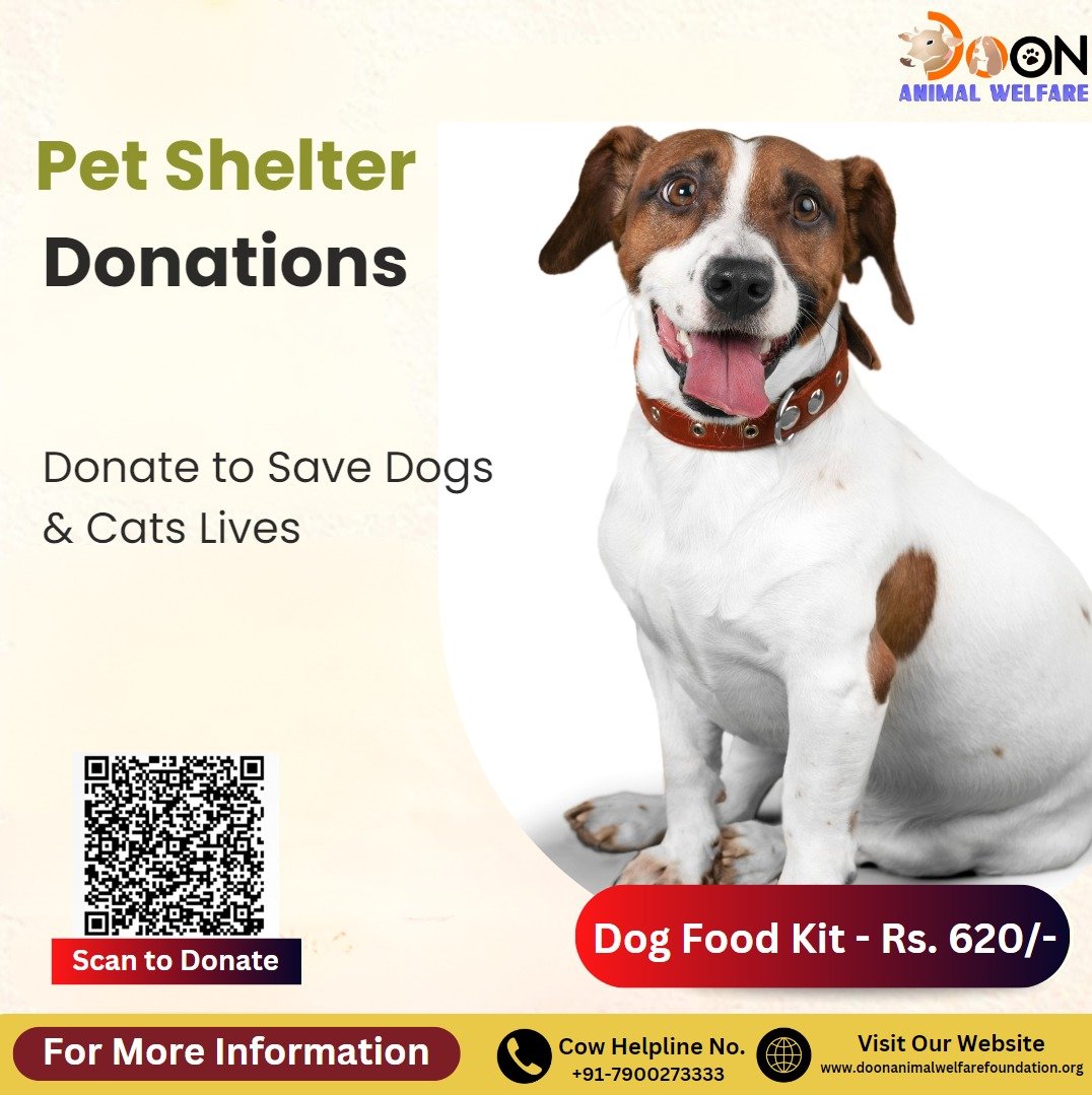 Pet Shelter Donations