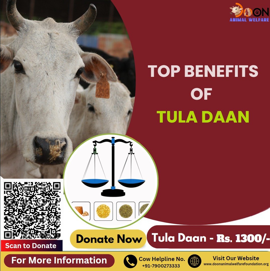 Top Benefits of Tula Daan