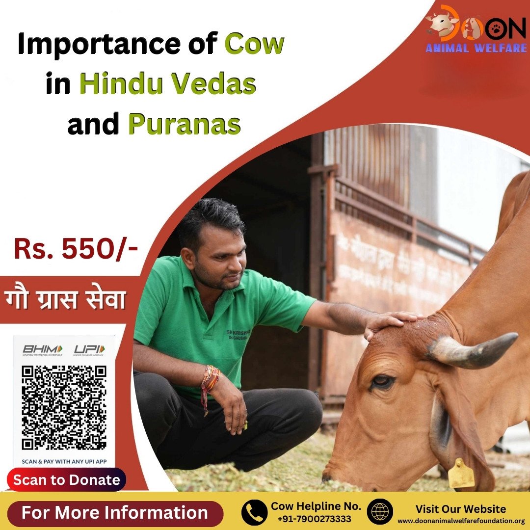 Cow in Hindu Vedas and Puranas