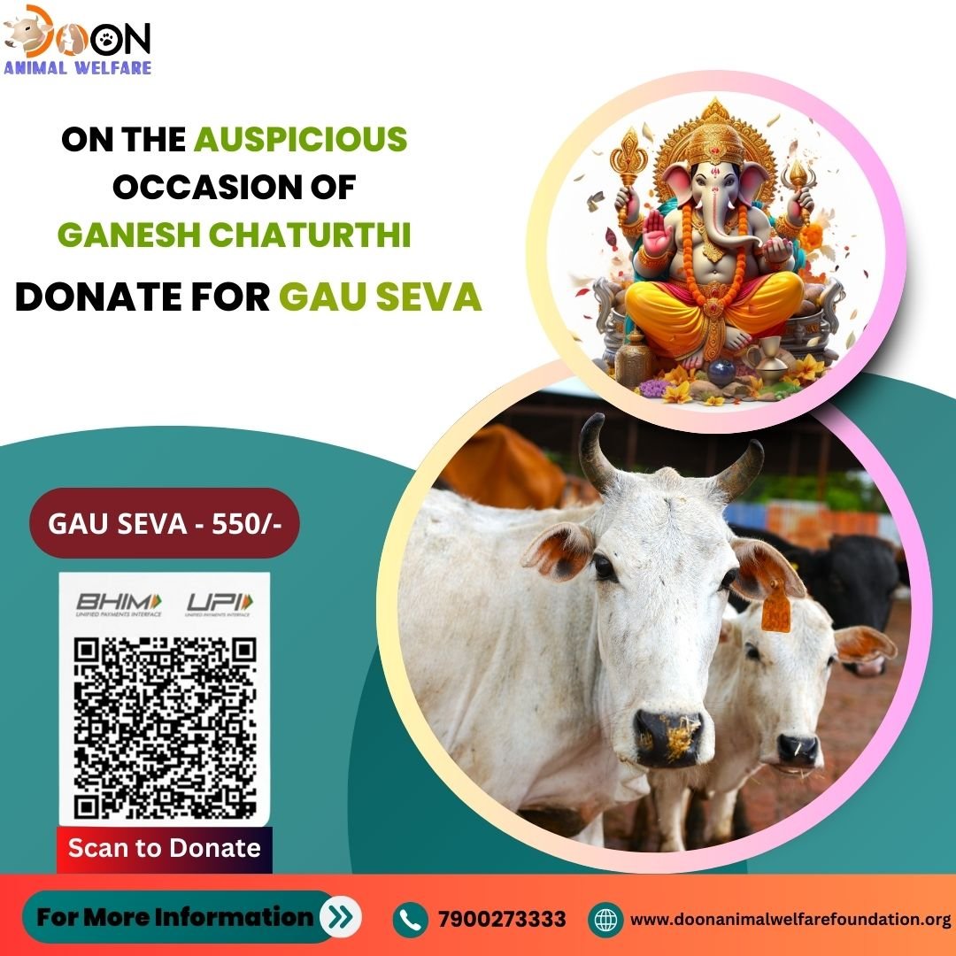 Ganesh Chaturthi Donation