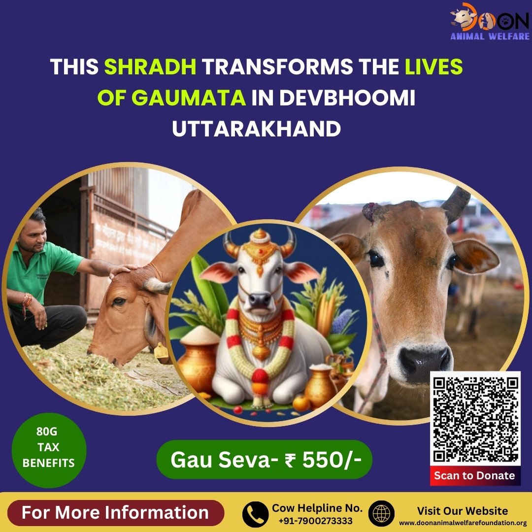 Gau Seva in Pitru Paksha