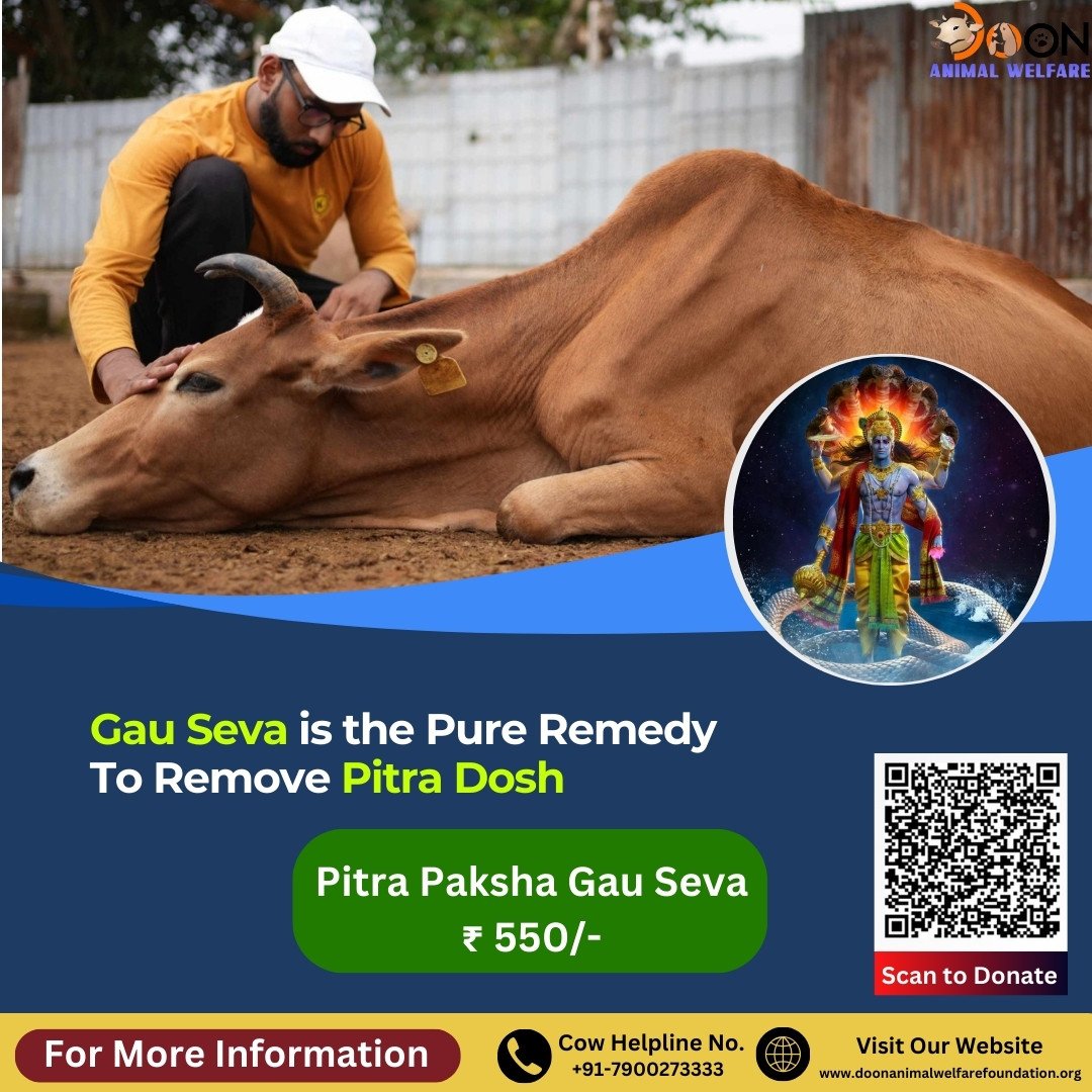 How to Remove Pitra Dosh