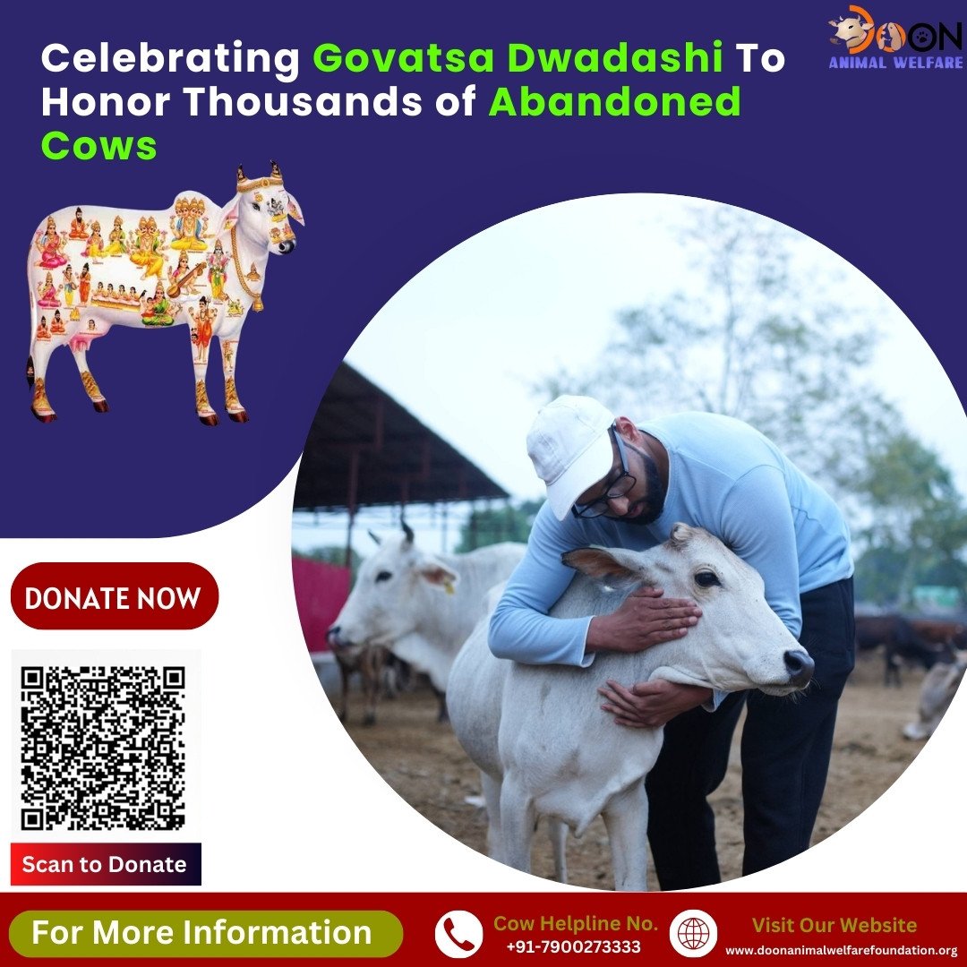 Donate For Cows on Govatsa Dwadashi