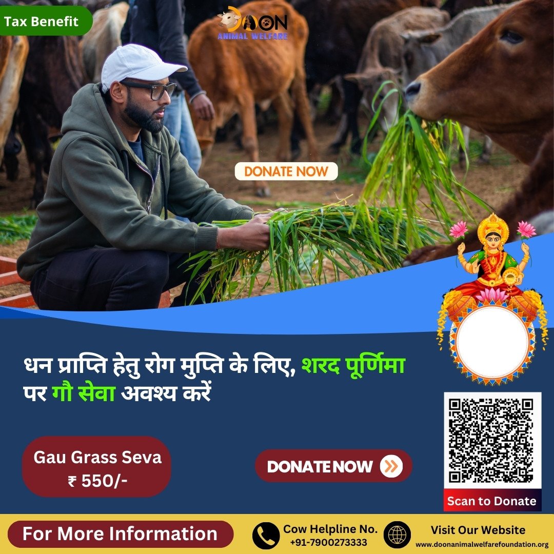 Donate For Cows on Sharad Purnima