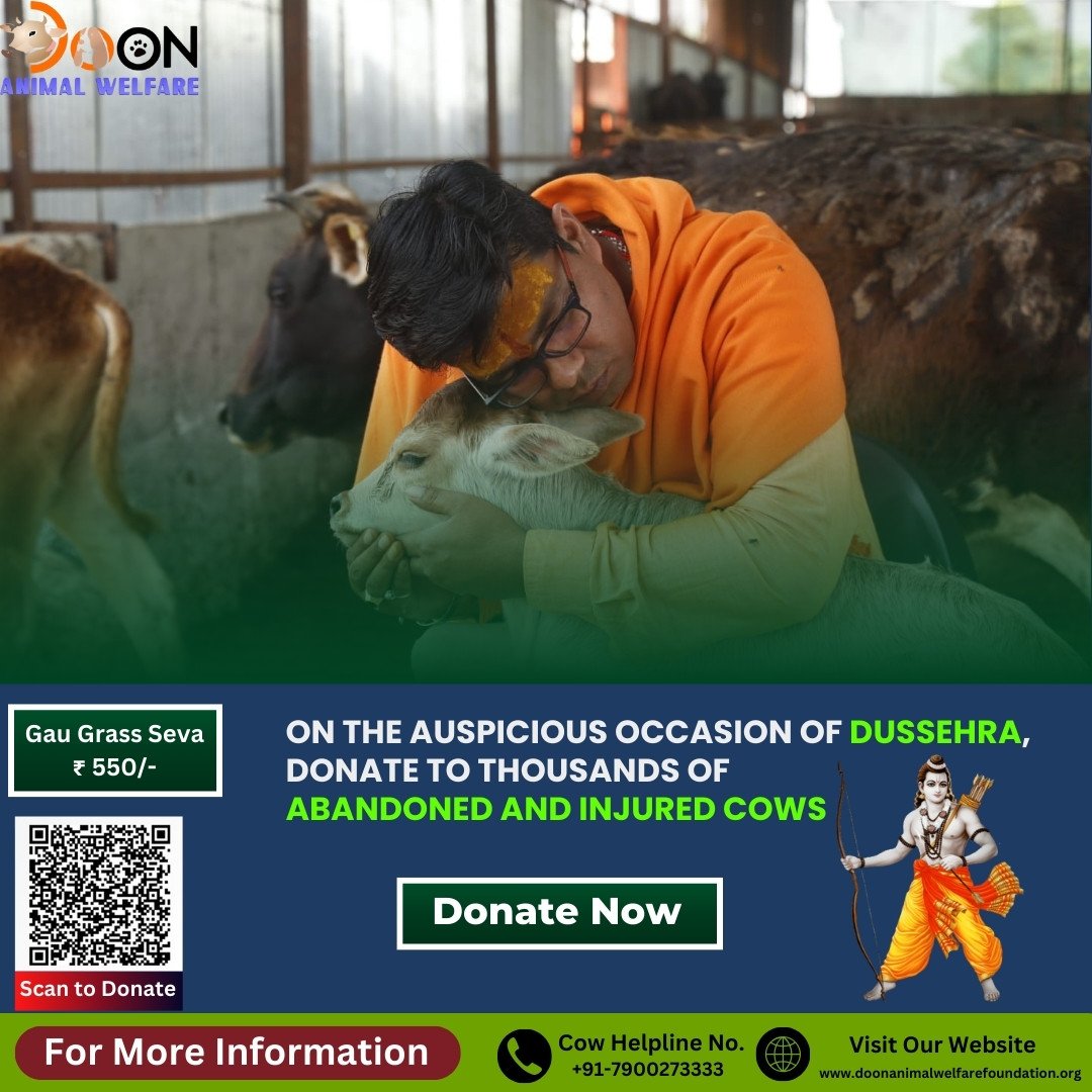 Donate To Feed Cows on Dussehra