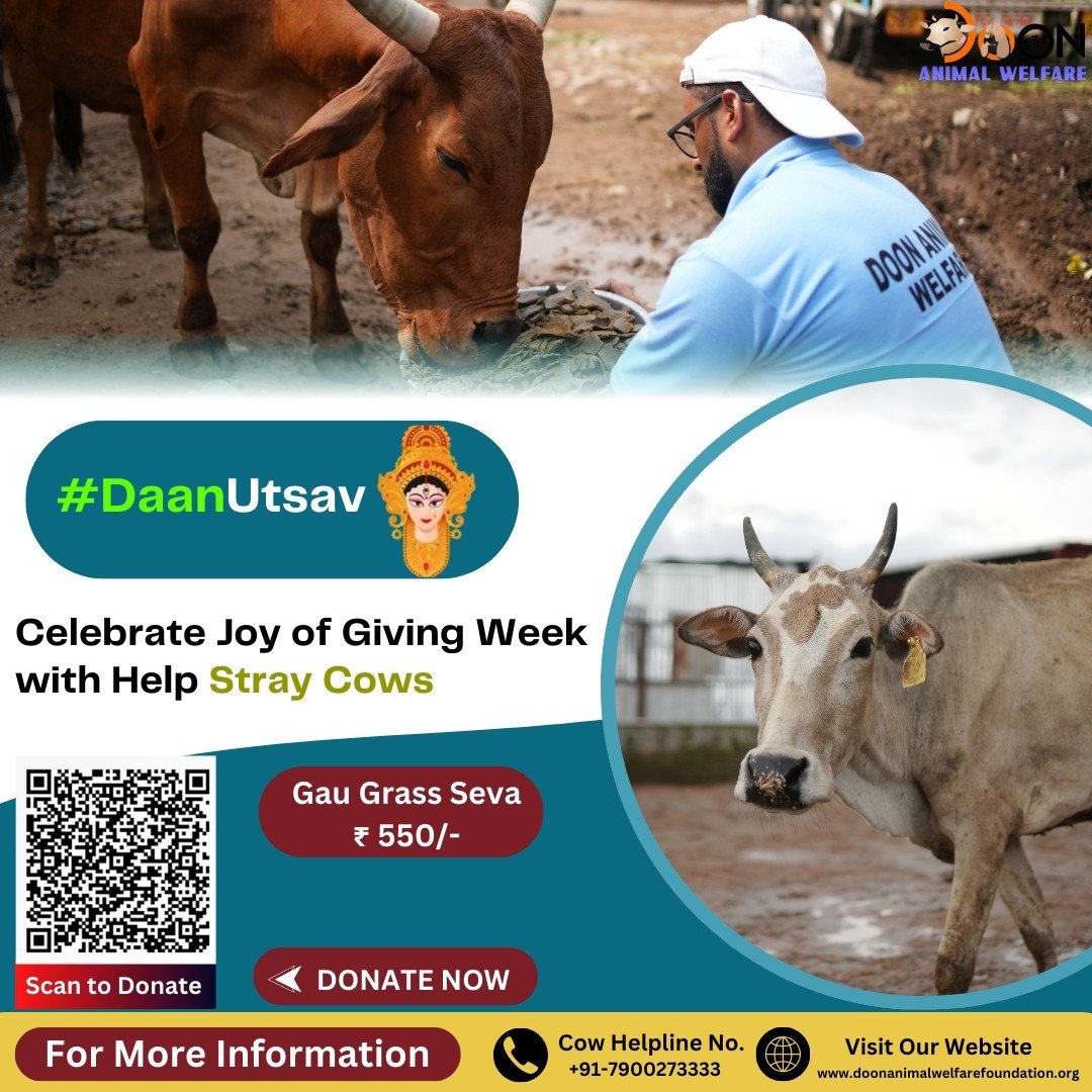 Donate on Daan Utsav