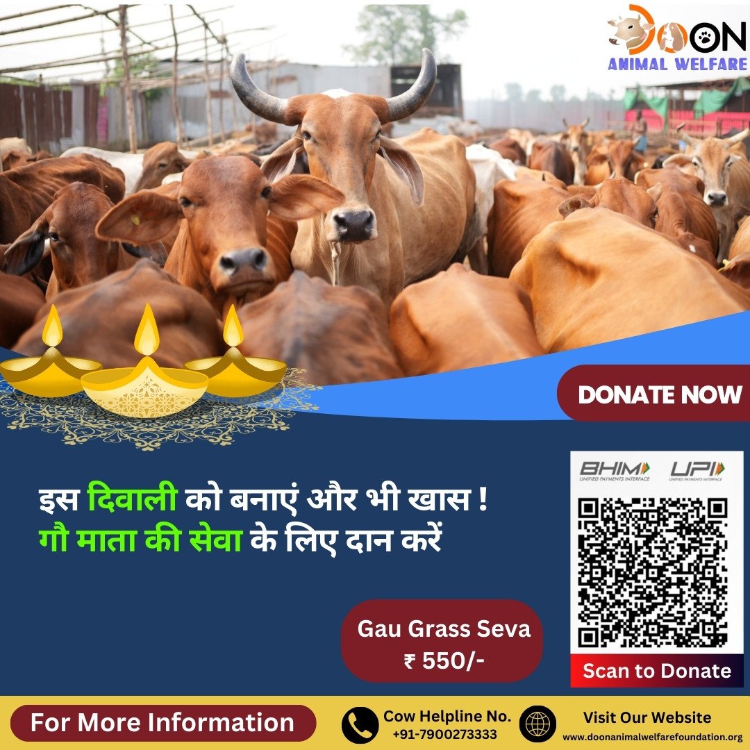 This Diwali Donate for Cows