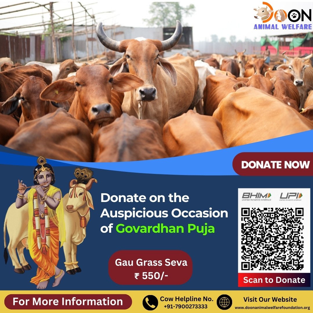 Donate on Govardhan Puja