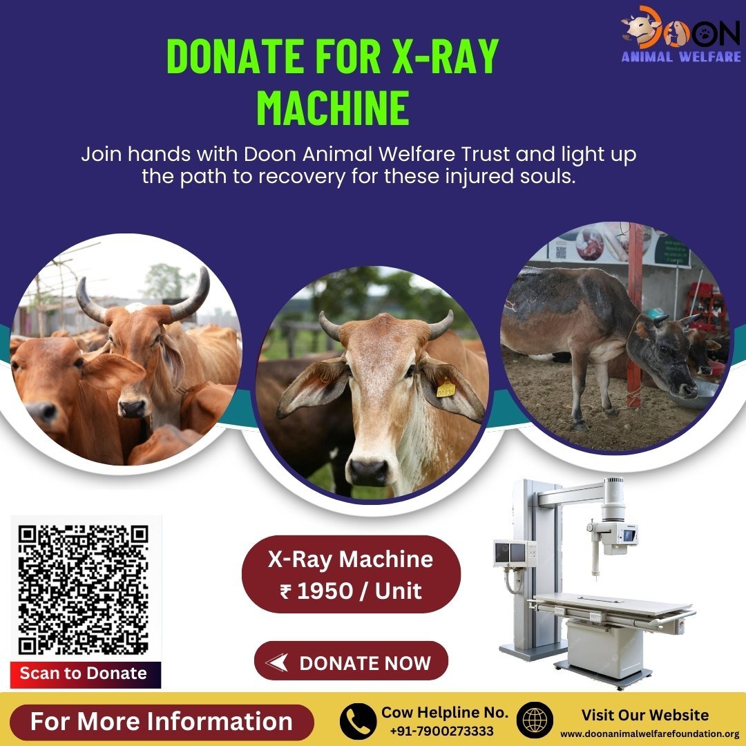 Donation for X-Ray Machine