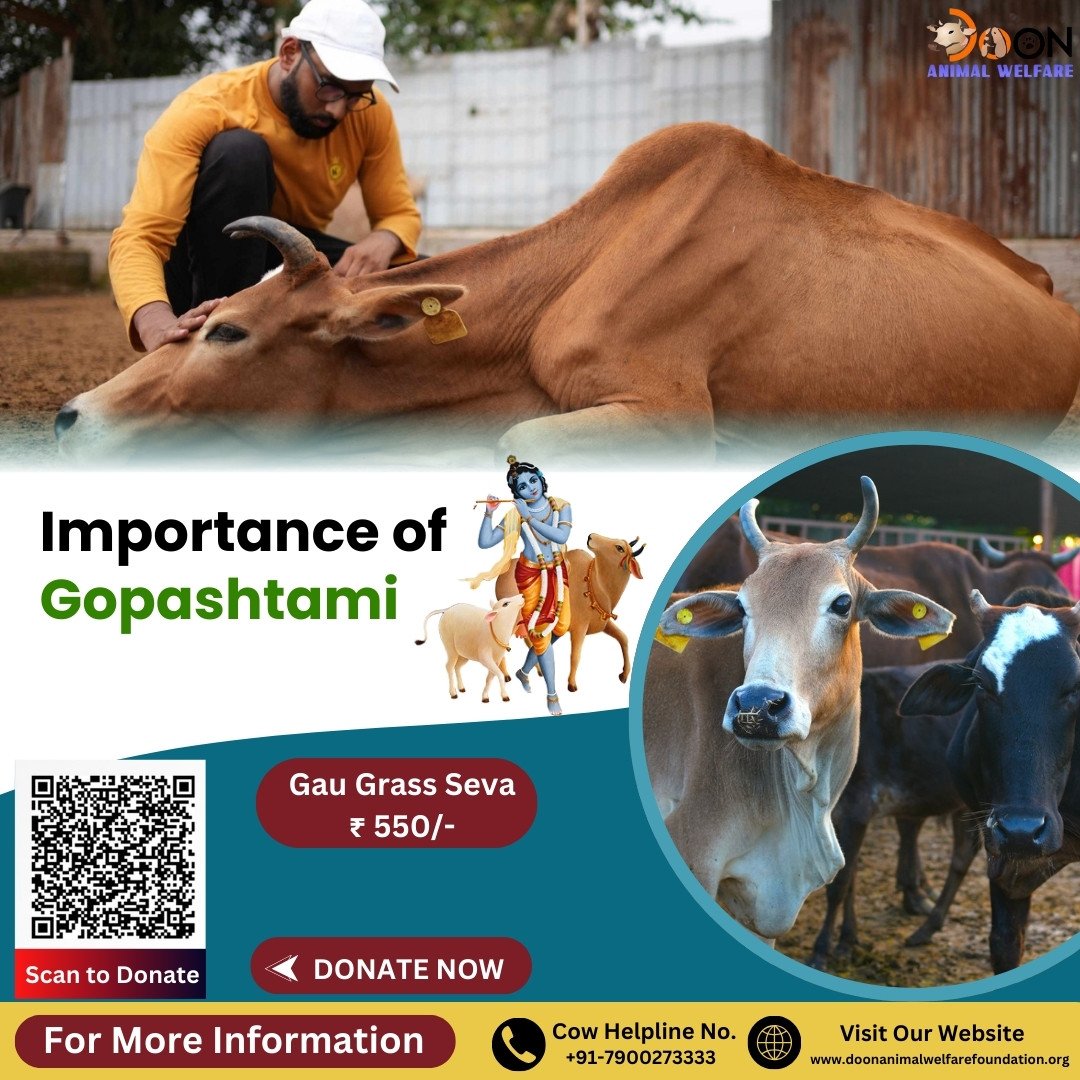 Importance of Gopashtami