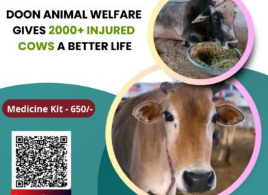 Support Doon Animal Welfare