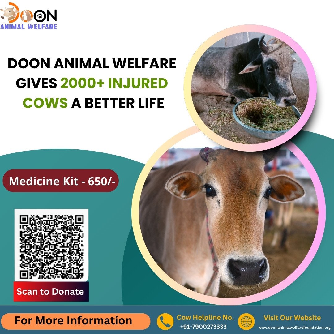 Support Doon Animal Welfare