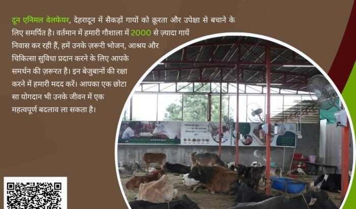 Donate on New Year for Cows