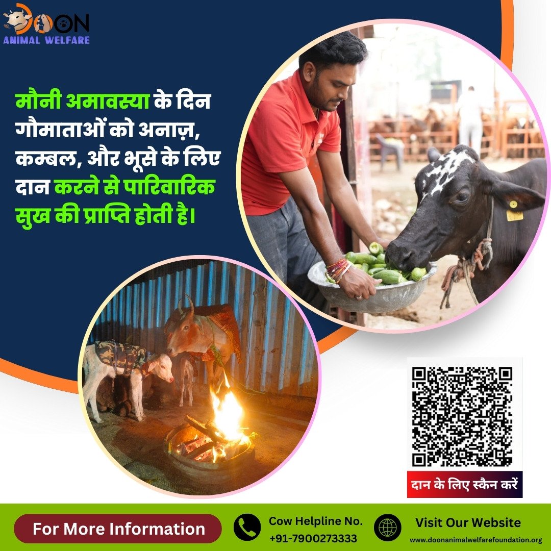 Donate on Mauni Amavasya