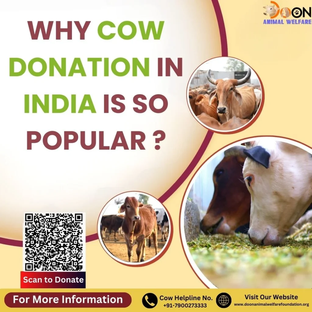Cow Donation in India