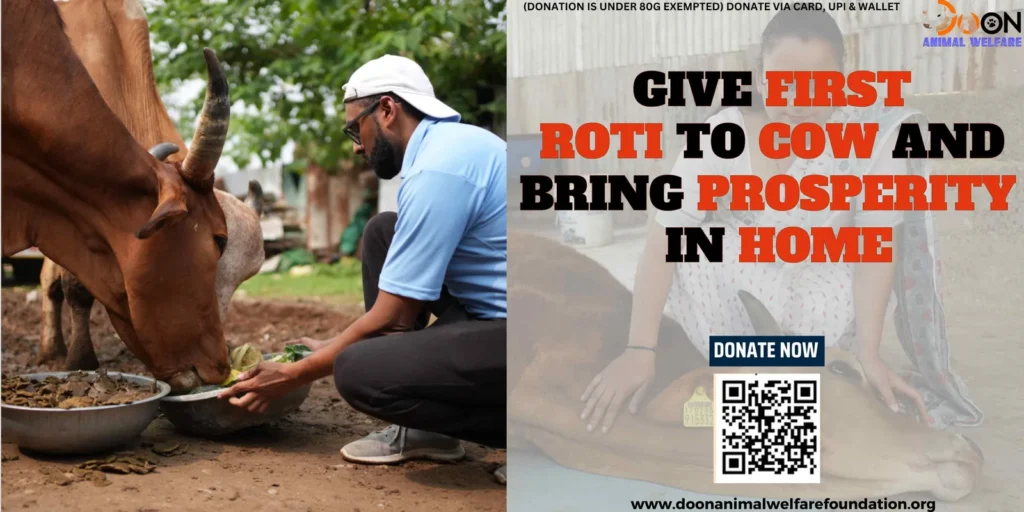 Give First Roti To Cow
