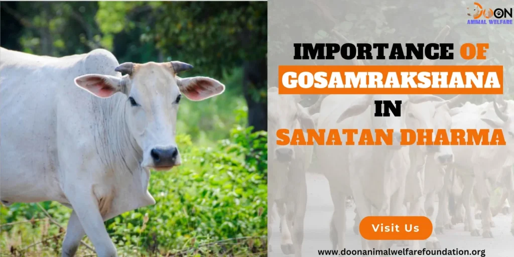 Gosamrakshana in Sanatan Dharma