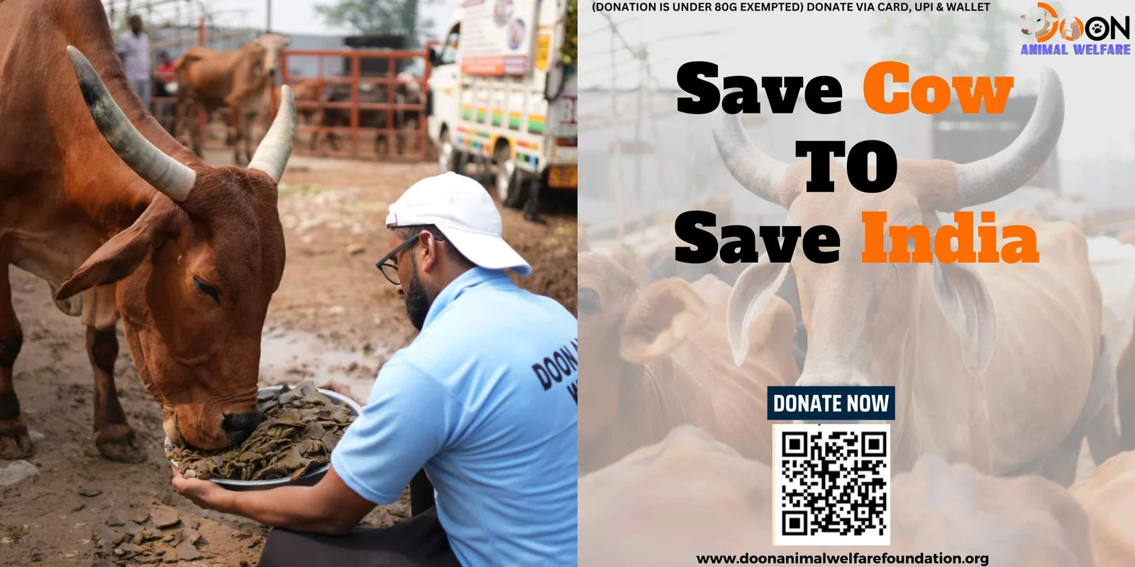 Save Cow Save India