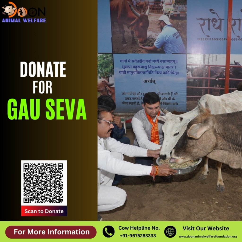 Donate For Gau Seva