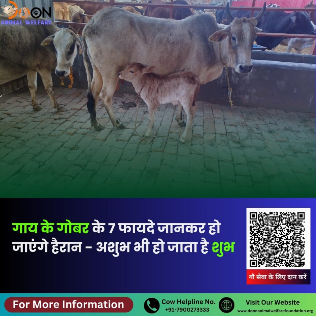 Gay Ke Gobar Ke Fayde