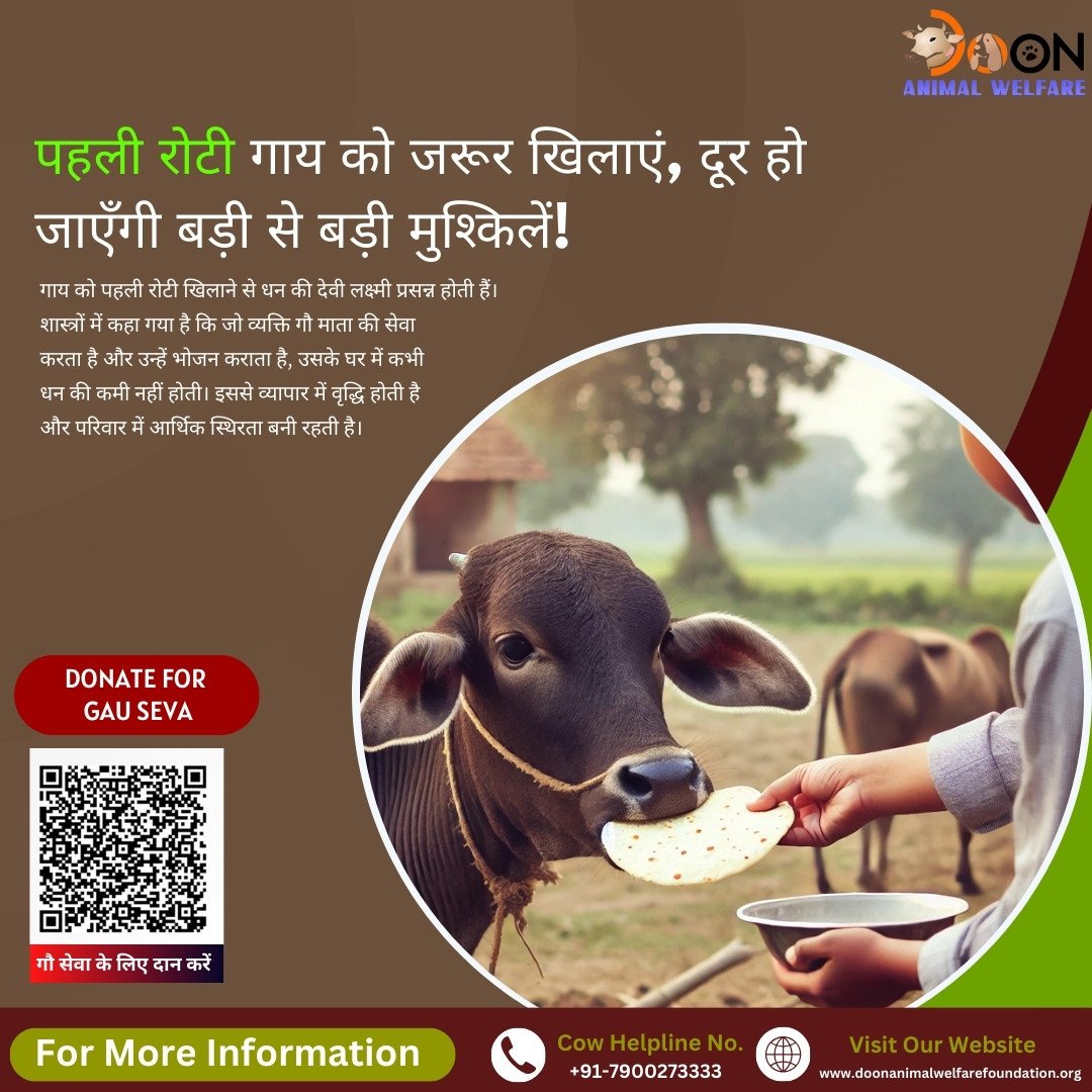 Gay ko Roti Khilane ke Fayde