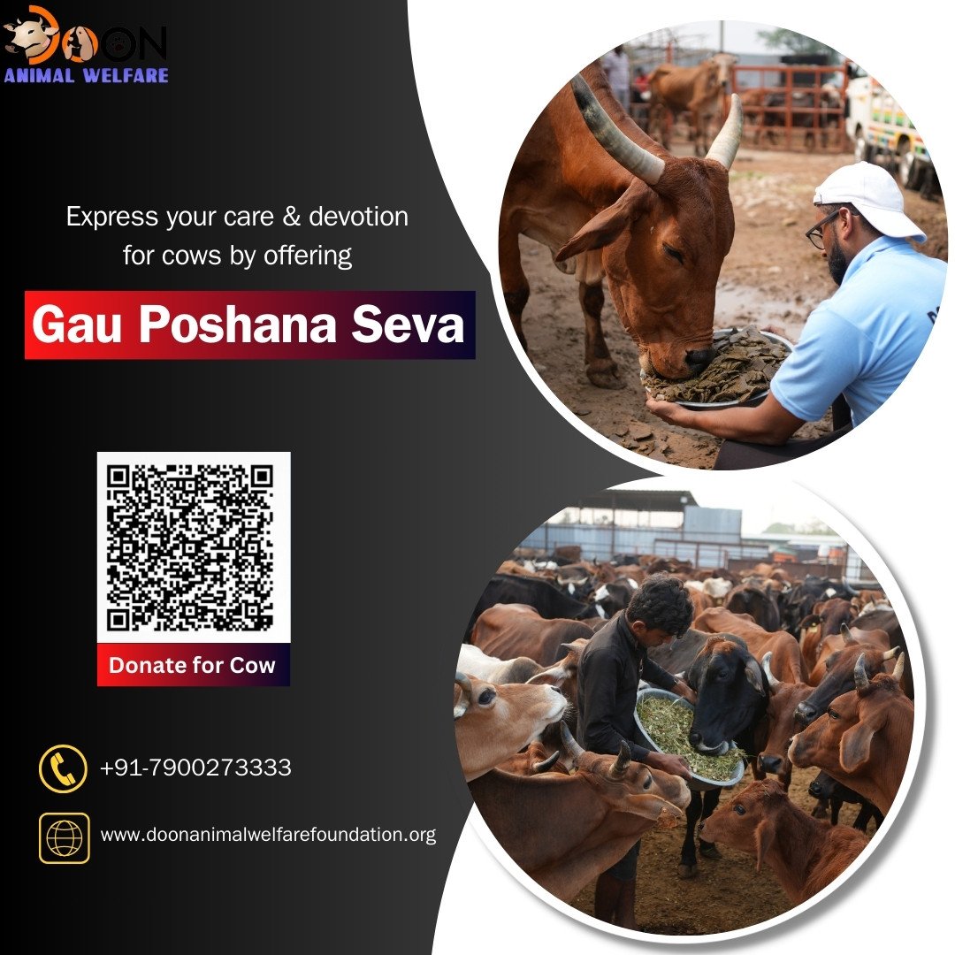 Donate for Cow - Doon Animal Welfare