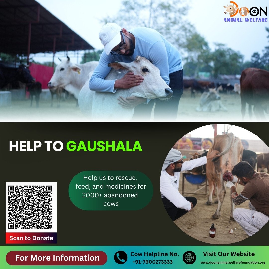 Gaushala Donation