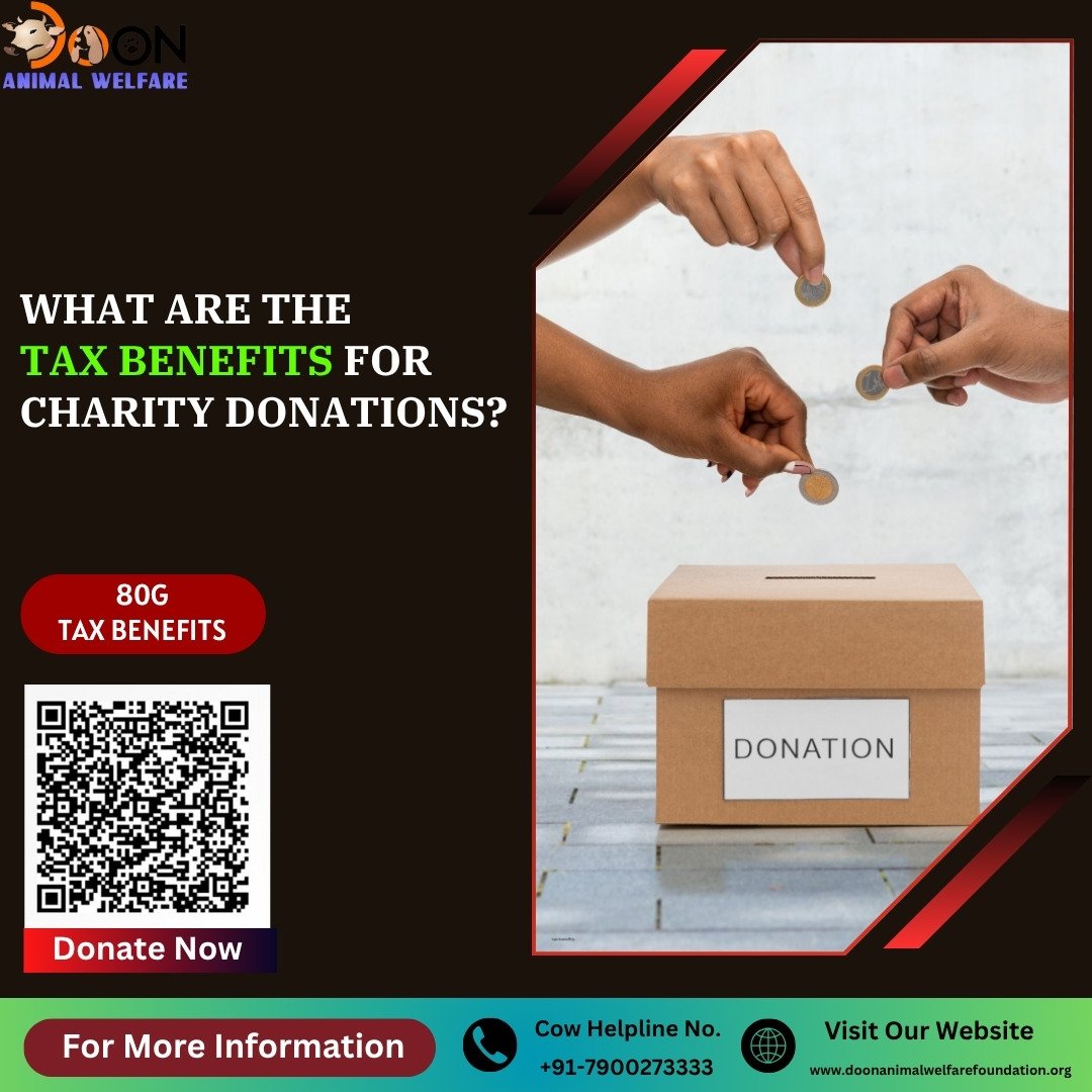 Tax Benefits of Charity Donations