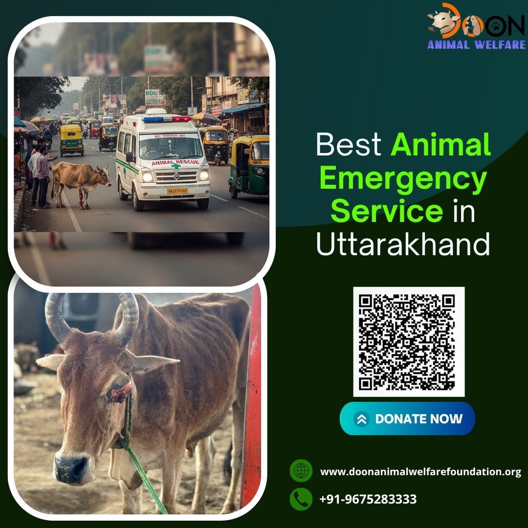 Animal Emergency Service