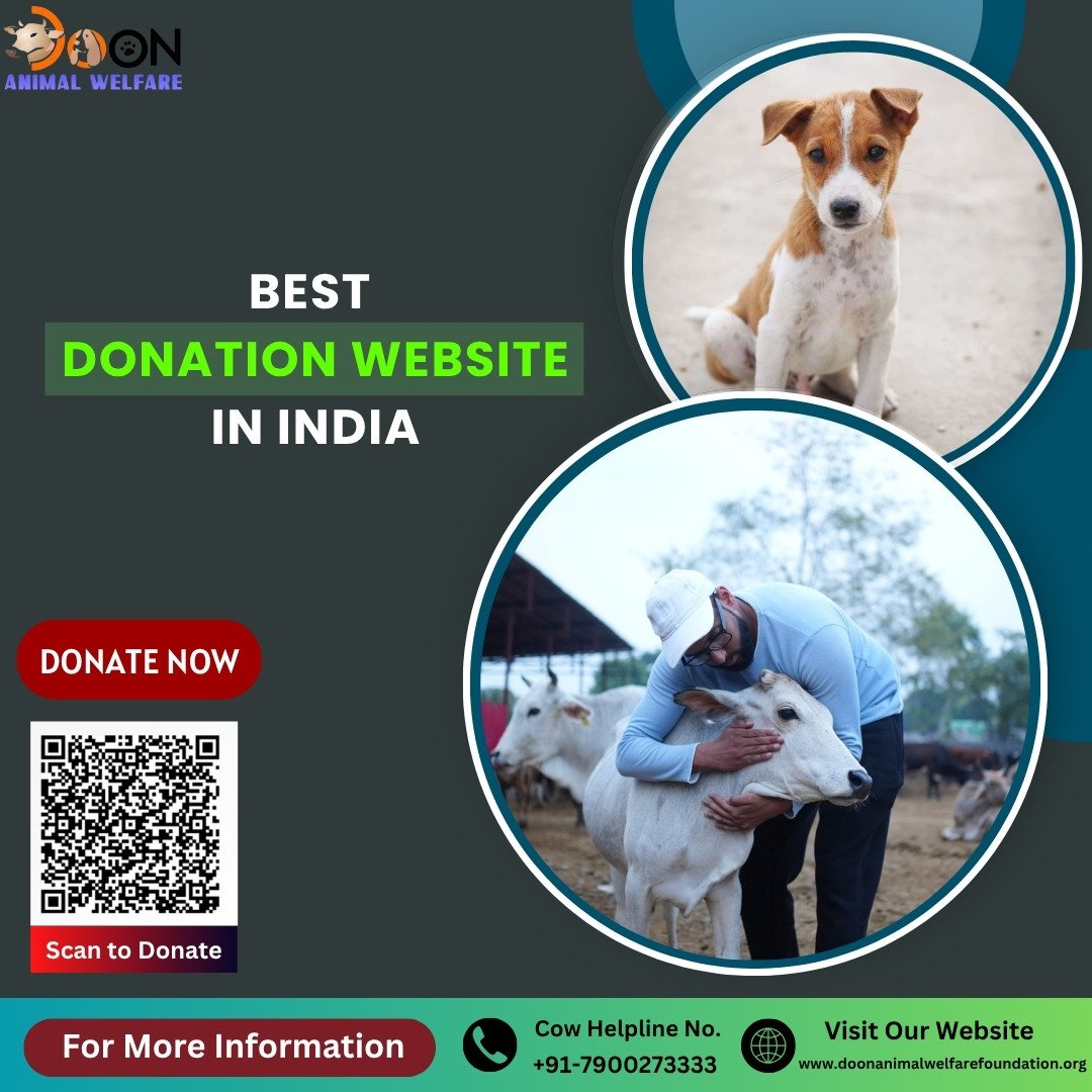Best Donation Website in India