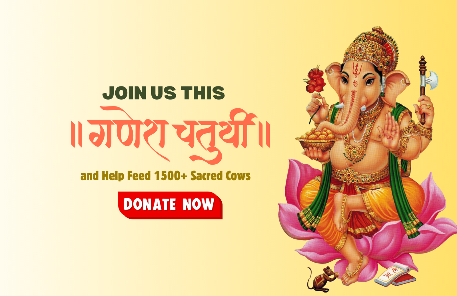 Sacred Mission: Nourish 1500 Cows This Ganesh Chaturthi