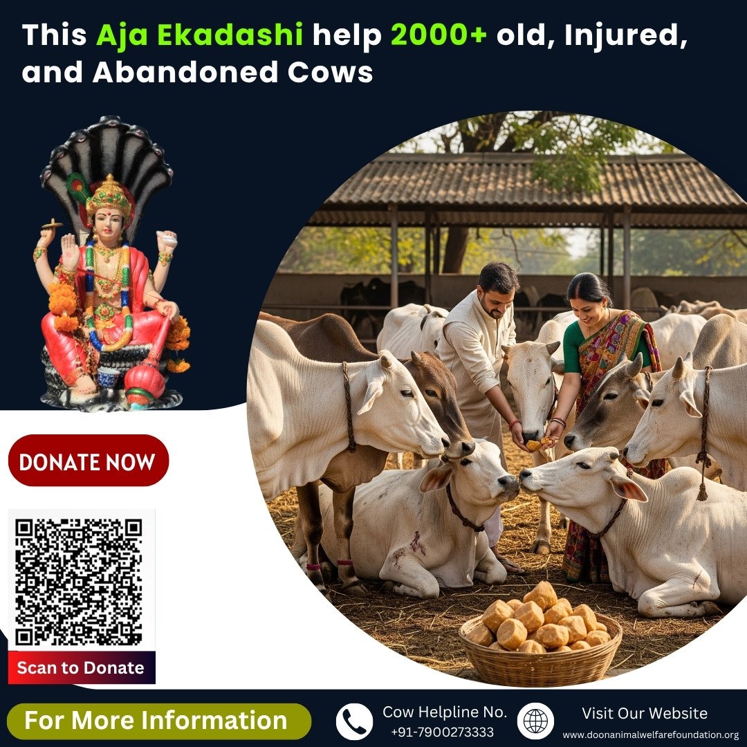 Donate on Aja Ekadashi 2025