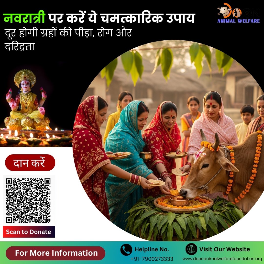 Donate on Navratri