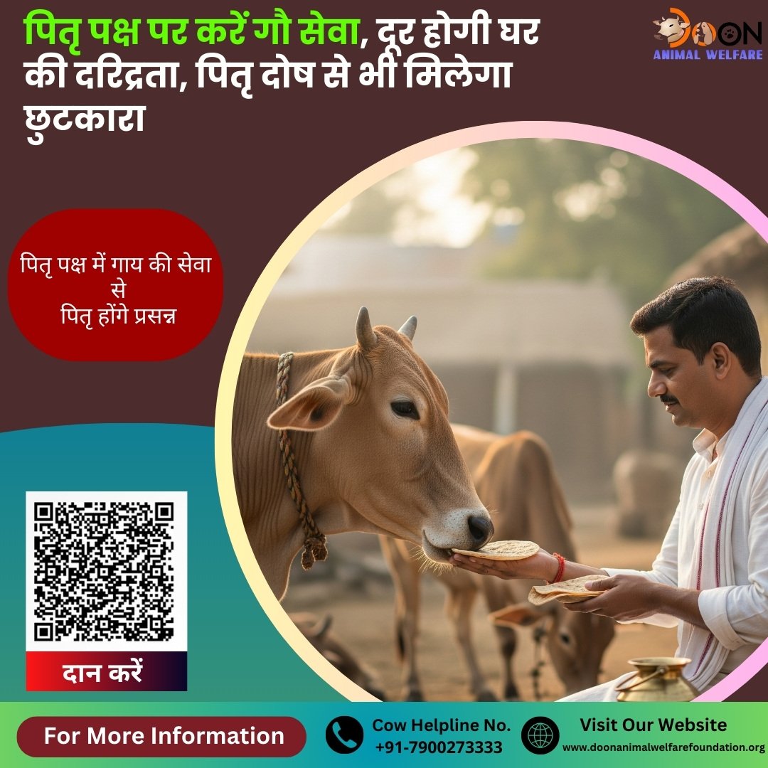 Pitru Paksha 2025 Daan