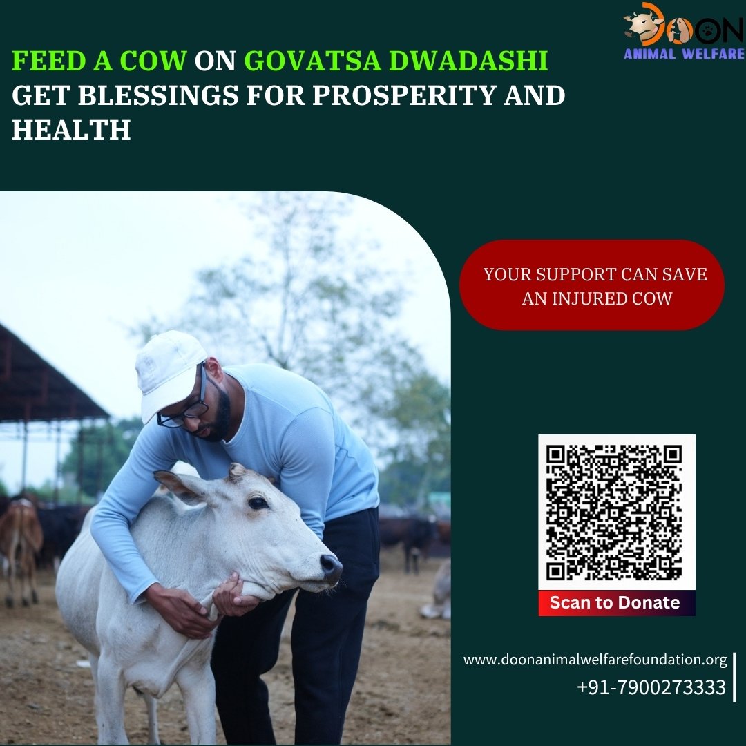 Donate on Govatsa Dwadashi