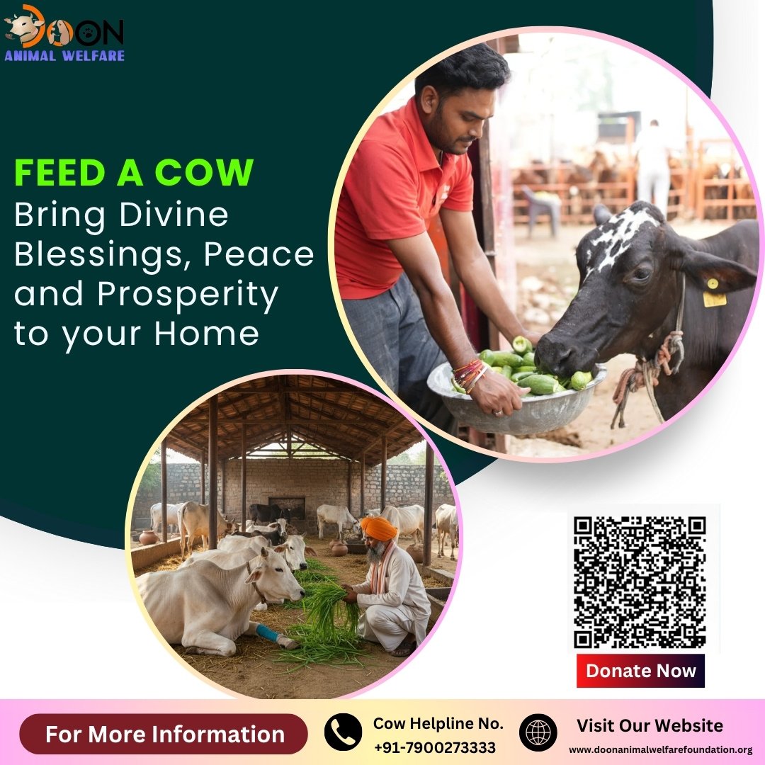Feed A Cow