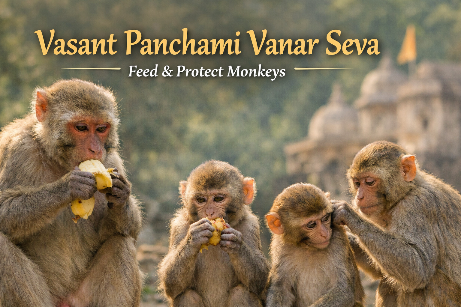 Vasant Panchami Vanar Seva