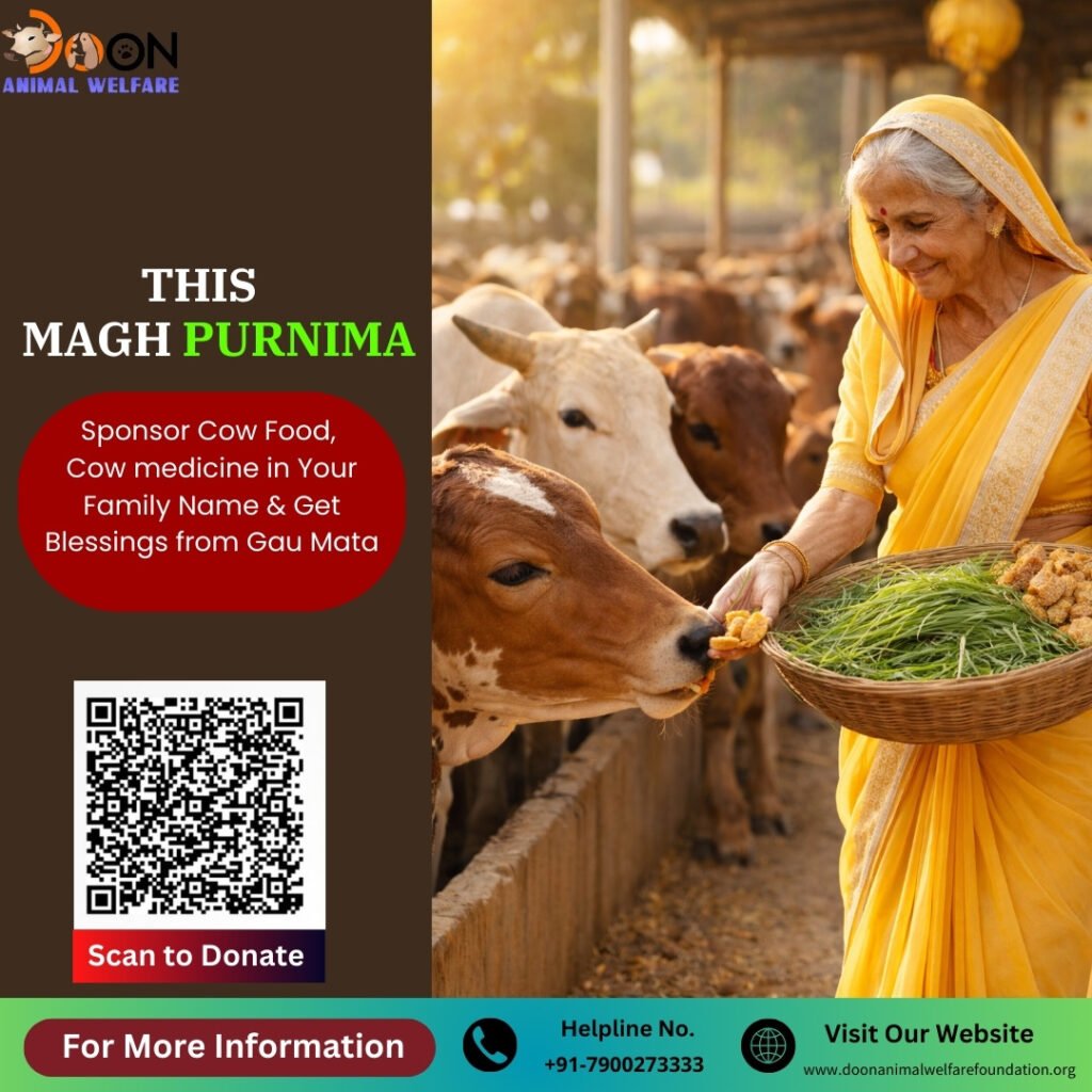 Donate on Magh Purnima